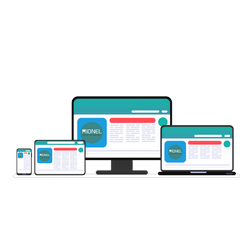 Web development